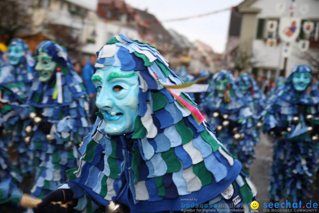 Fasnetsumzug - Fasching: Langenargen am Bodensee, 10.01.2016