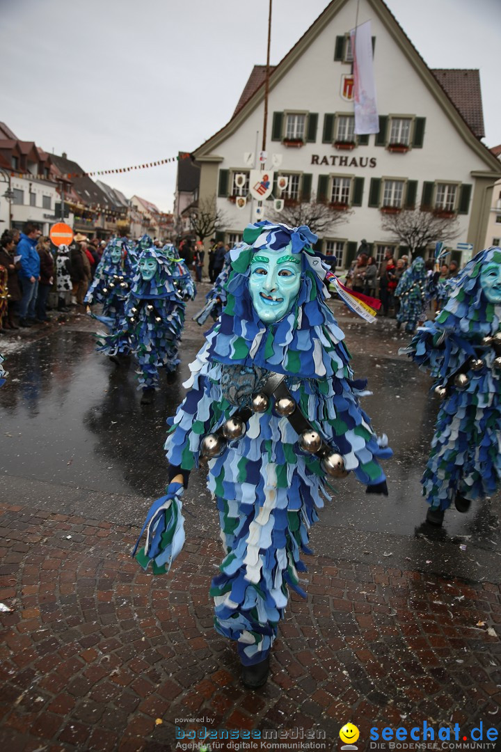 Fasnetsumzug - Fasching: Langenargen am Bodensee, 10.01.2016