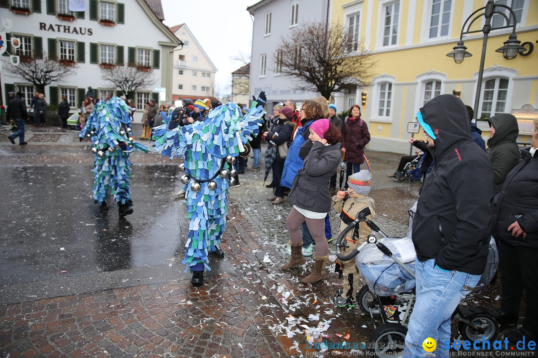 Fasnetsumzug - Fasching: Langenargen am Bodensee, 10.01.2016