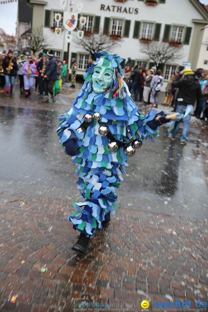 Fasnetsumzug - Fasching: Langenargen am Bodensee, 10.01.2016