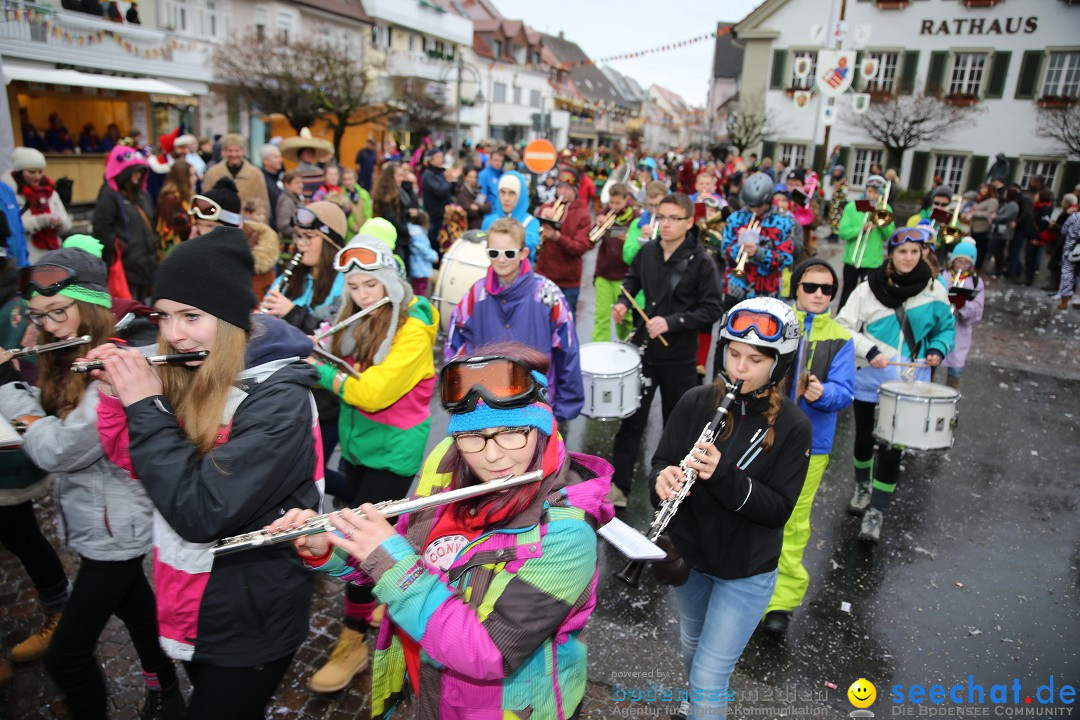 Fasnetsumzug - Fasching: Langenargen am Bodensee, 10.01.2016