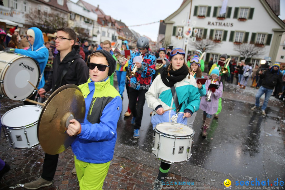 Fasnetsumzug - Fasching: Langenargen am Bodensee, 10.01.2016