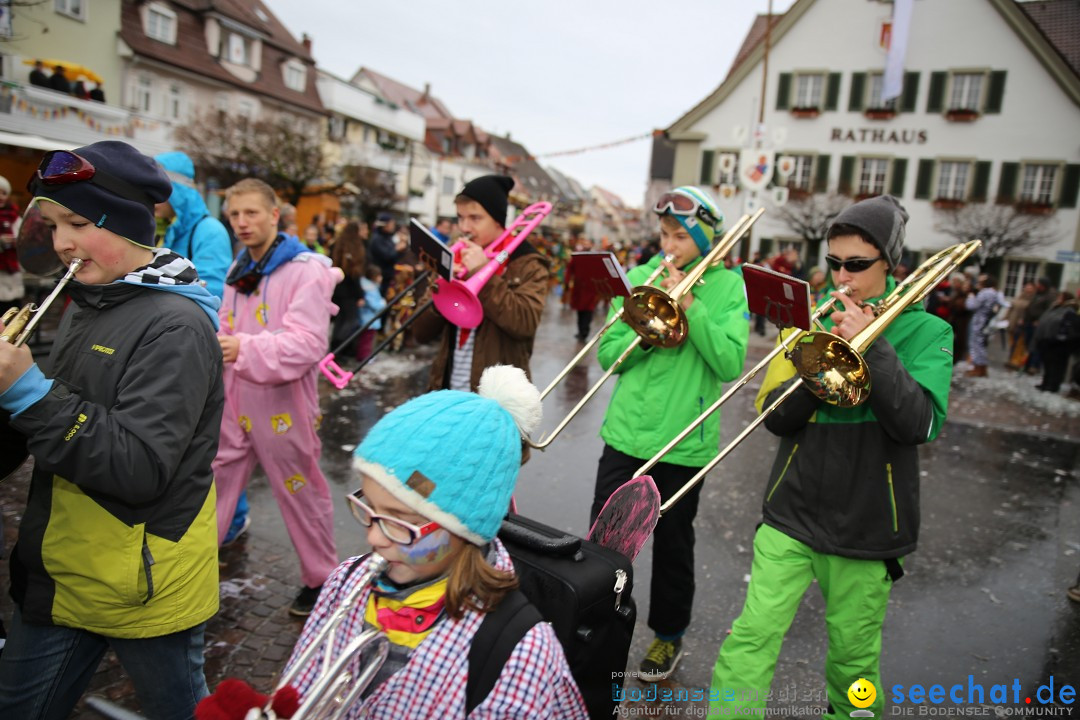 Fasnetsumzug - Fasching: Langenargen am Bodensee, 10.01.2016