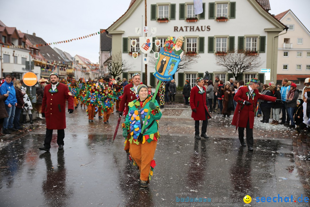 Fasnetsumzug - Fasching: Langenargen am Bodensee, 10.01.2016