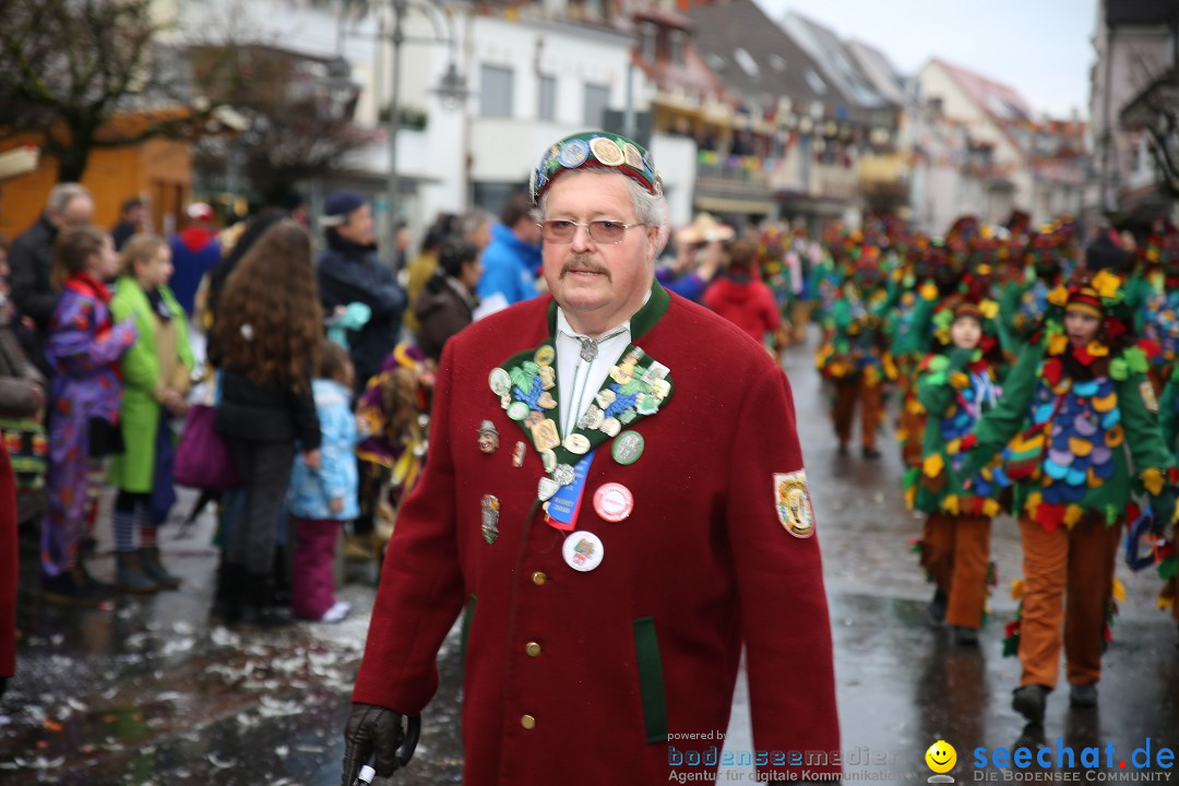 Fasnetsumzug - Fasching: Langenargen am Bodensee, 10.01.2016