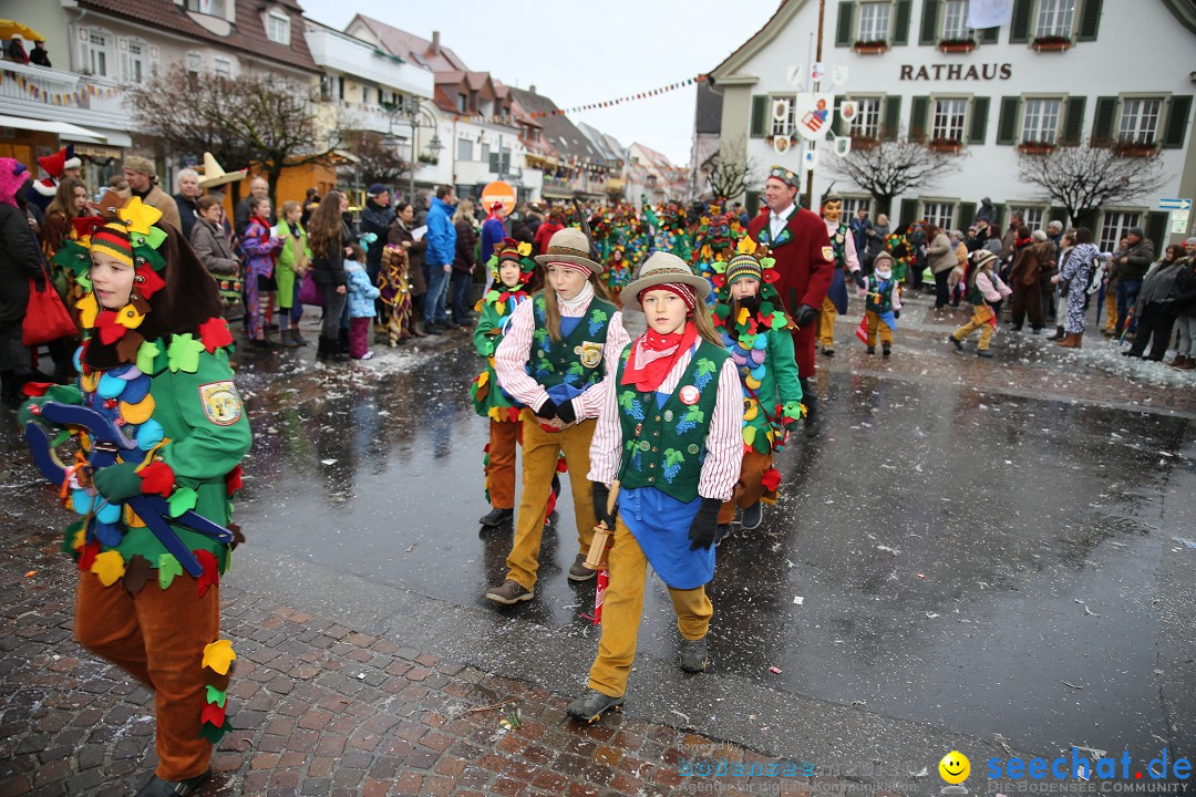 Fasnetsumzug - Fasching: Langenargen am Bodensee, 10.01.2016