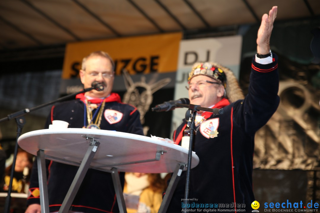 Fasnetsumzug - Fasching: Langenargen am Bodensee, 10.01.2016