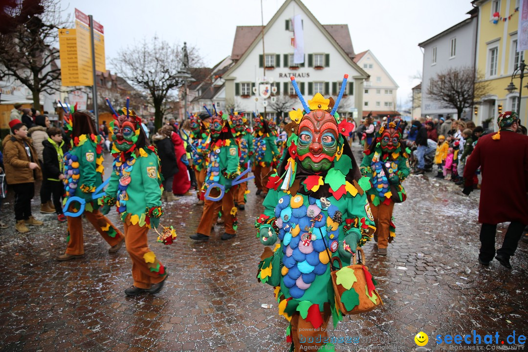 Fasnetsumzug - Fasching: Langenargen am Bodensee, 10.01.2016