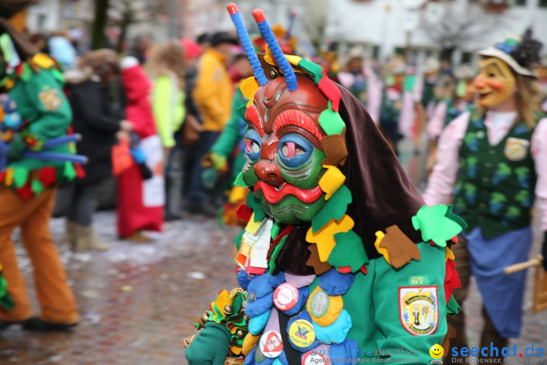 Fasnetsumzug - Fasching: Langenargen am Bodensee, 10.01.2016