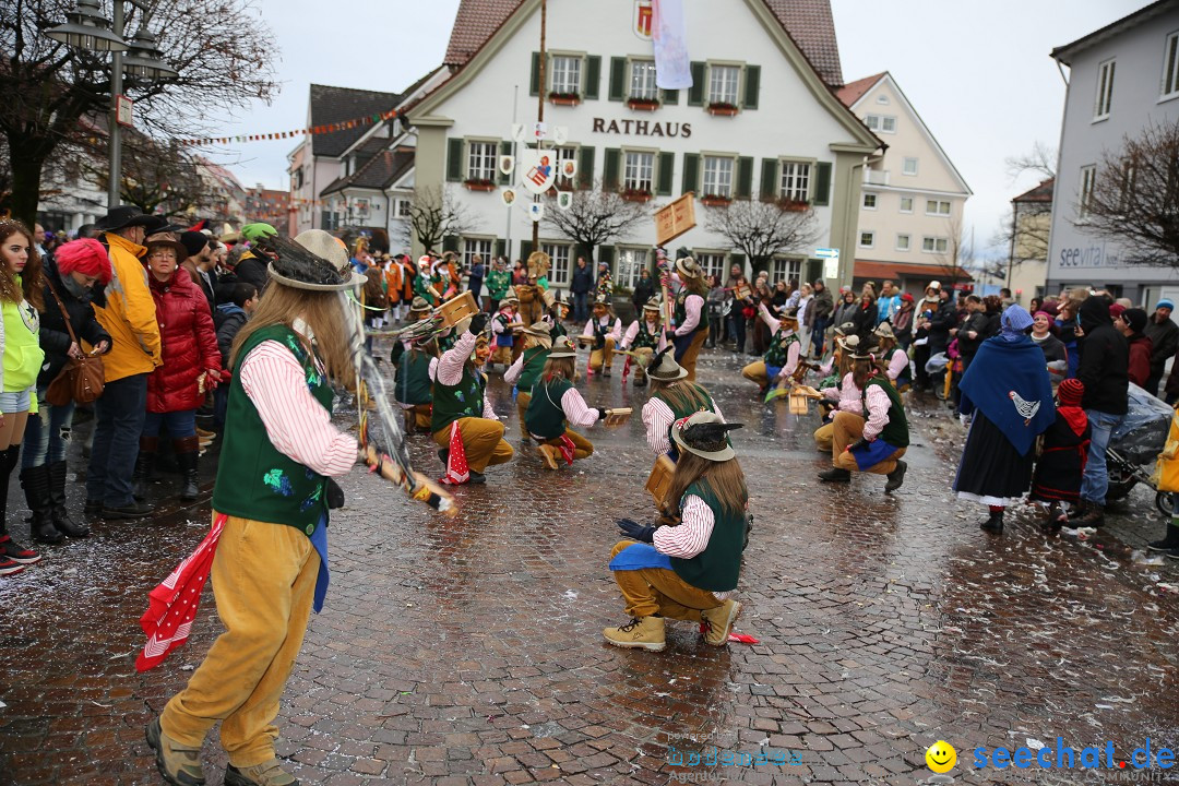 Fasnetsumzug - Fasching: Langenargen am Bodensee, 10.01.2016