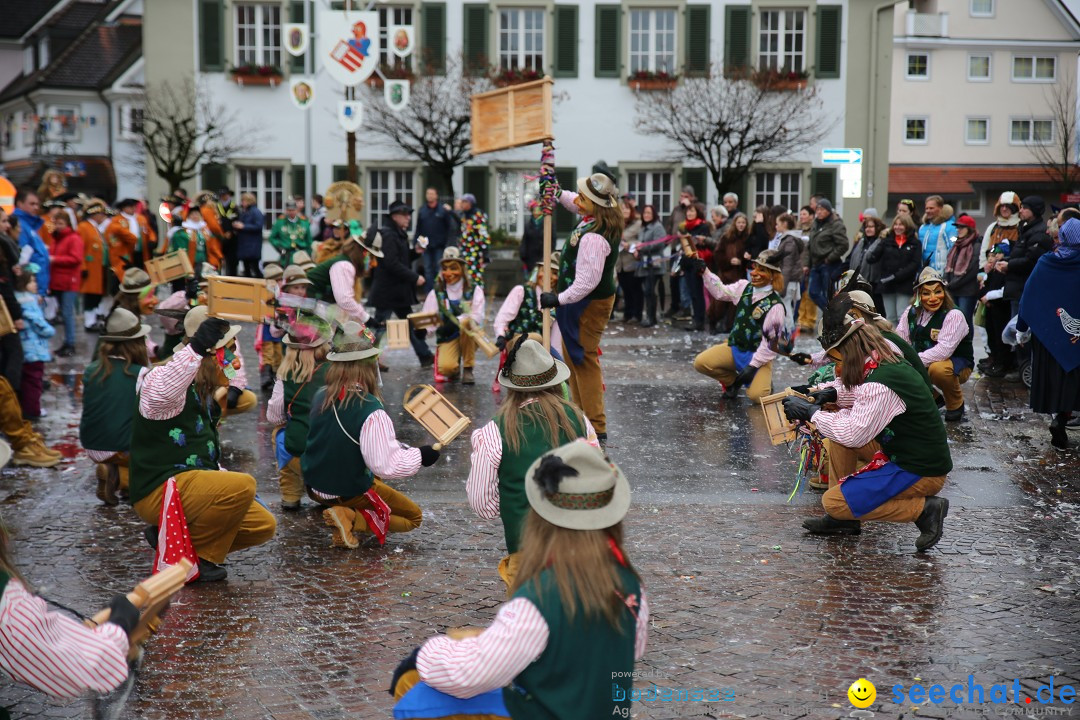 Fasnetsumzug - Fasching: Langenargen am Bodensee, 10.01.2016