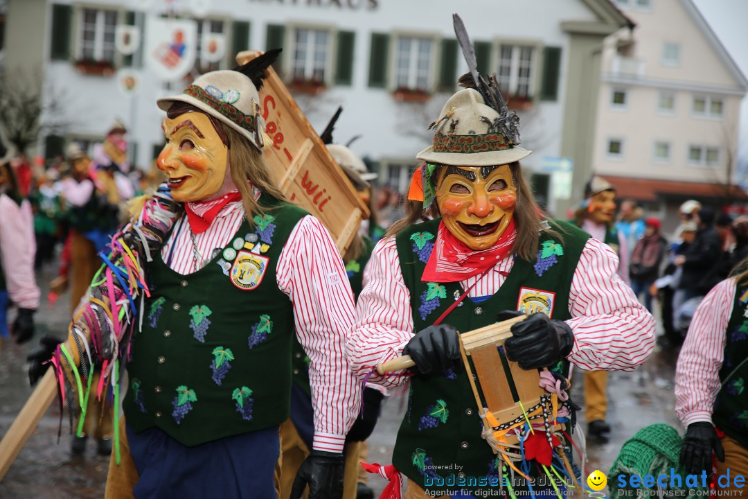 Fasnetsumzug - Fasching: Langenargen am Bodensee, 10.01.2016