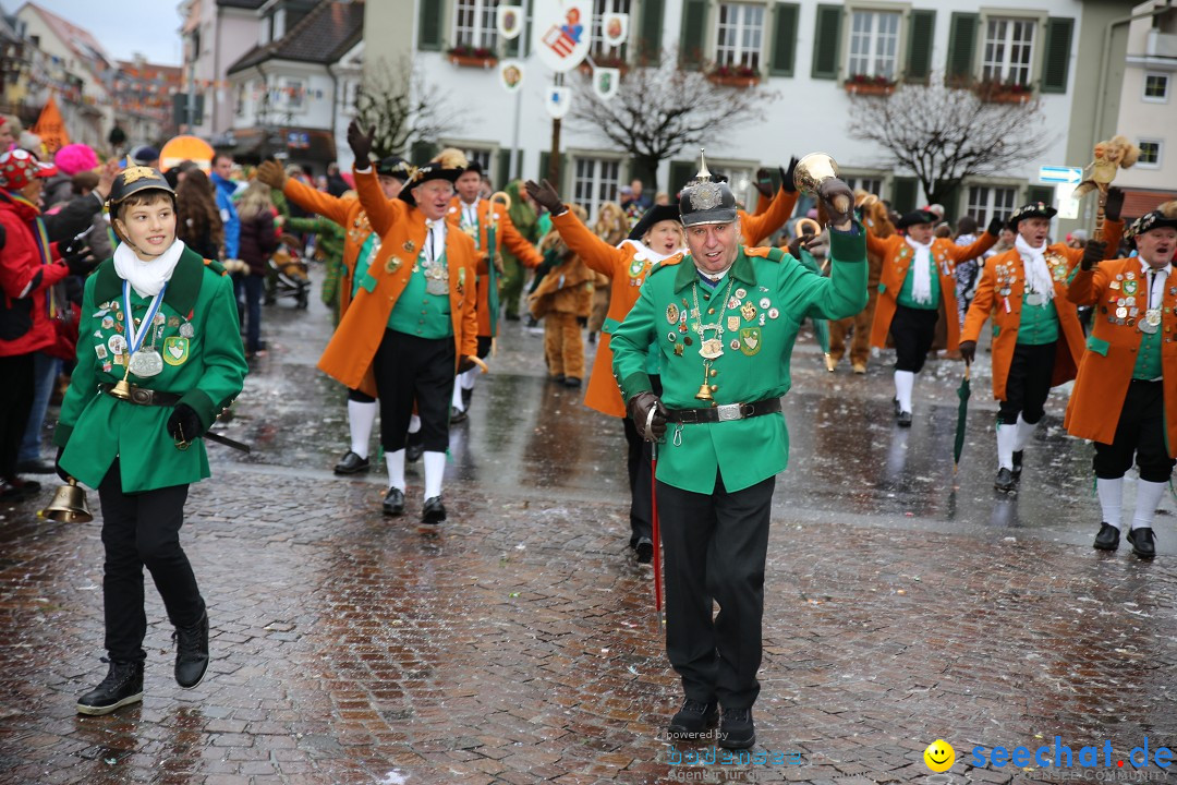 Fasnetsumzug - Fasching: Langenargen am Bodensee, 10.01.2016