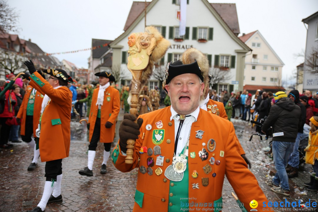 Fasnetsumzug - Fasching: Langenargen am Bodensee, 10.01.2016