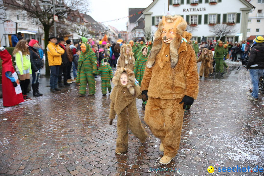 Fasnetsumzug - Fasching: Langenargen am Bodensee, 10.01.2016