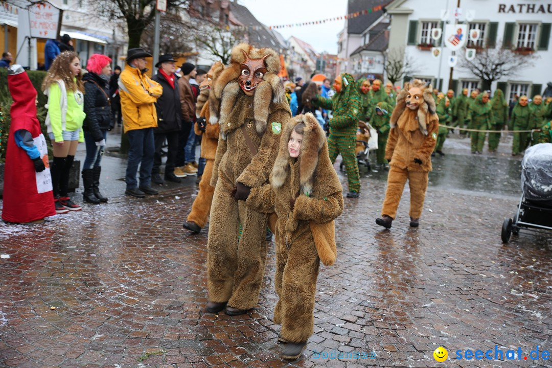 Fasnetsumzug - Fasching: Langenargen am Bodensee, 10.01.2016