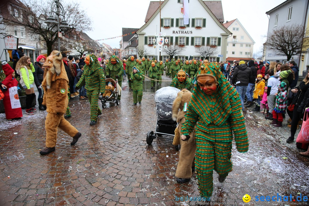 Fasnetsumzug - Fasching: Langenargen am Bodensee, 10.01.2016