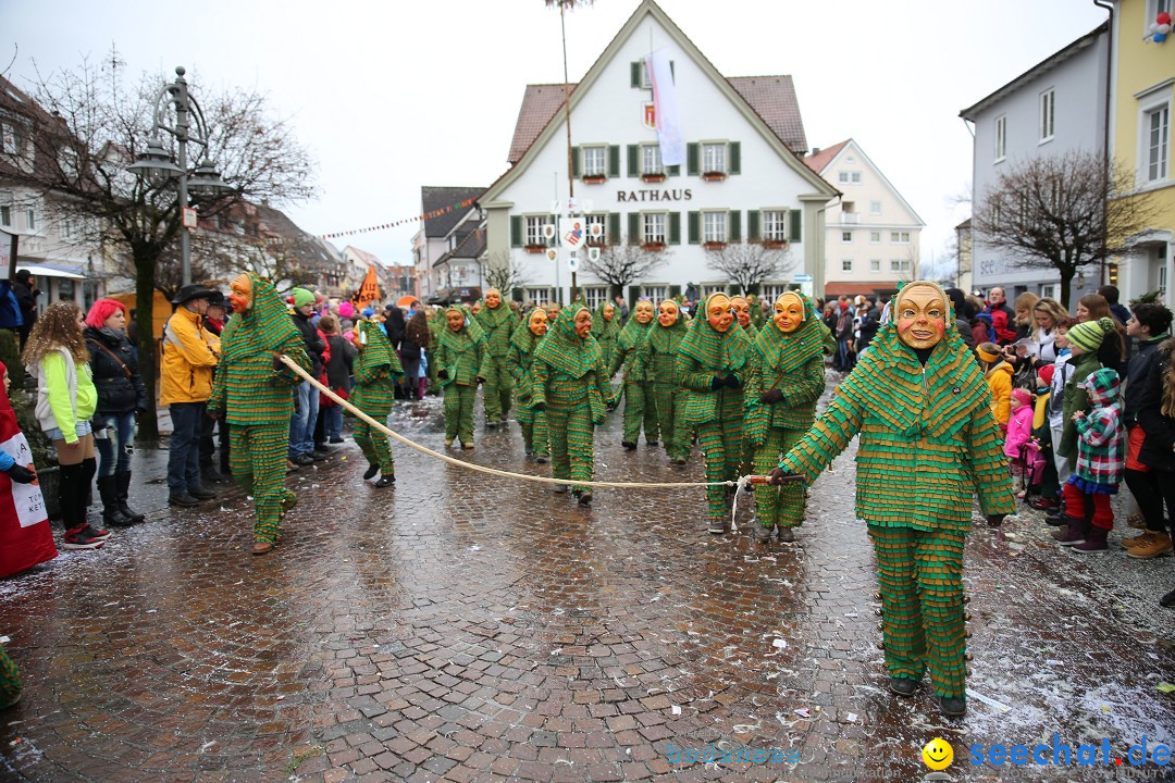 Fasnetsumzug - Fasching: Langenargen am Bodensee, 10.01.2016