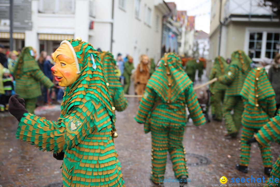 Fasnetsumzug - Fasching: Langenargen am Bodensee, 10.01.2016