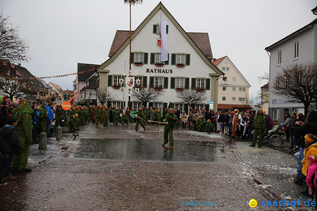 Fasnetsumzug - Fasching: Langenargen am Bodensee, 10.01.2016