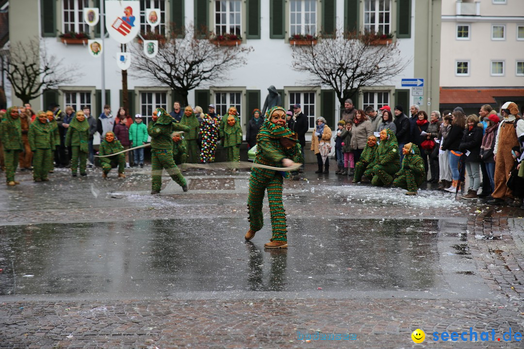 Fasnetsumzug - Fasching: Langenargen am Bodensee, 10.01.2016