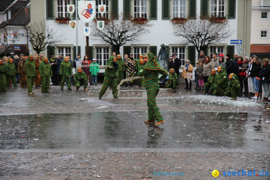 Fasnetsumzug - Fasching: Langenargen am Bodensee, 10.01.2016