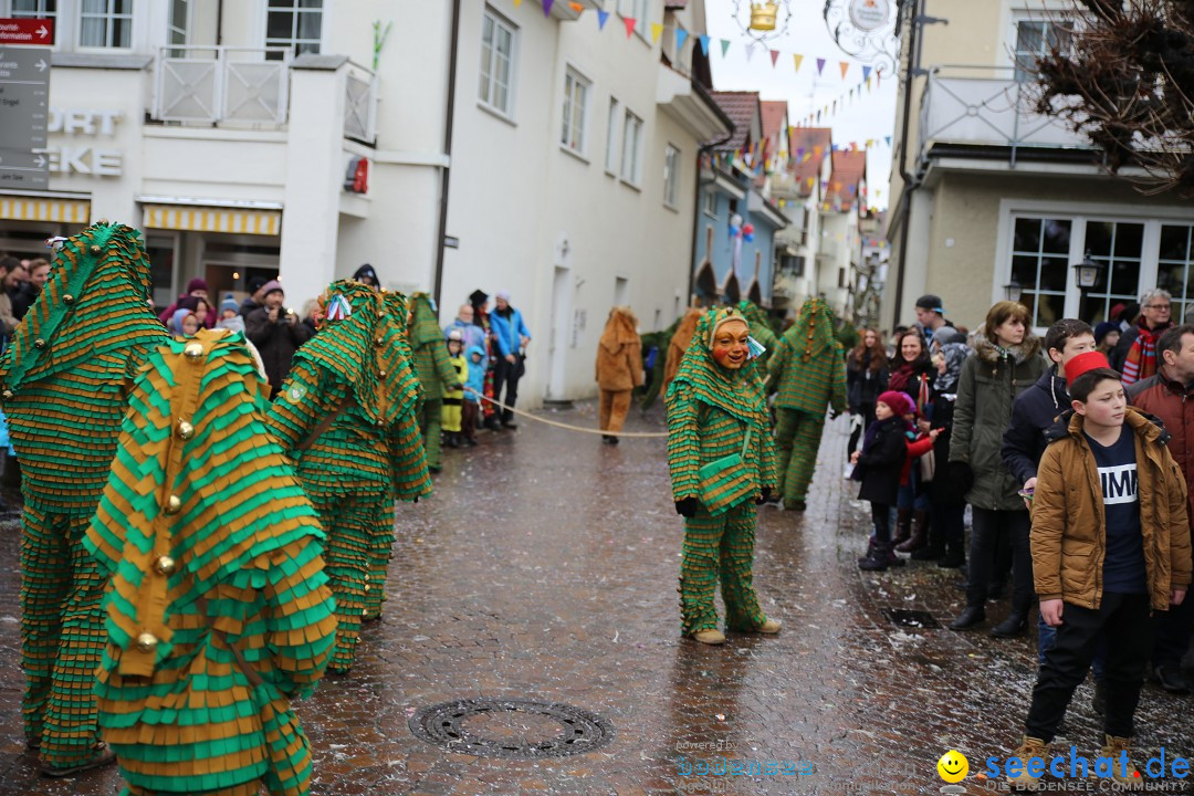 Fasnetsumzug - Fasching: Langenargen am Bodensee, 10.01.2016