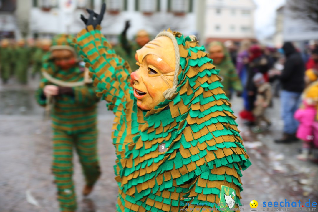 Fasnetsumzug - Fasching: Langenargen am Bodensee, 10.01.2016