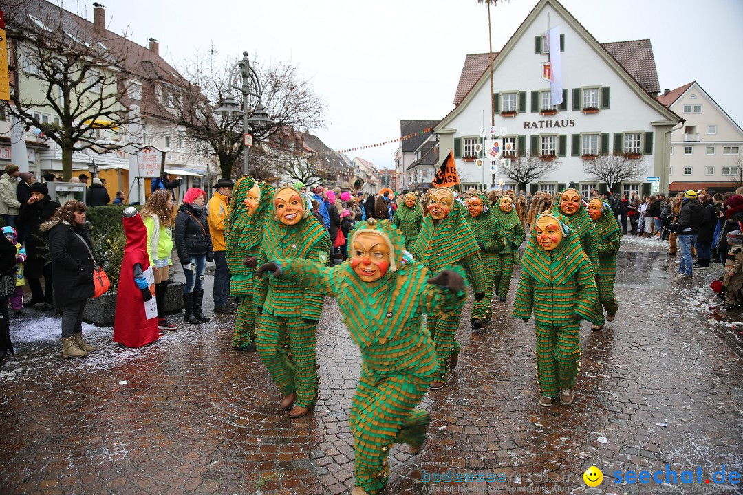 Fasnetsumzug - Fasching: Langenargen am Bodensee, 10.01.2016