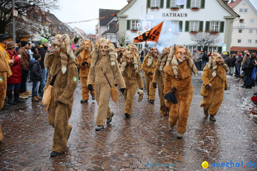 Fasnetsumzug - Fasching: Langenargen am Bodensee, 10.01.2016