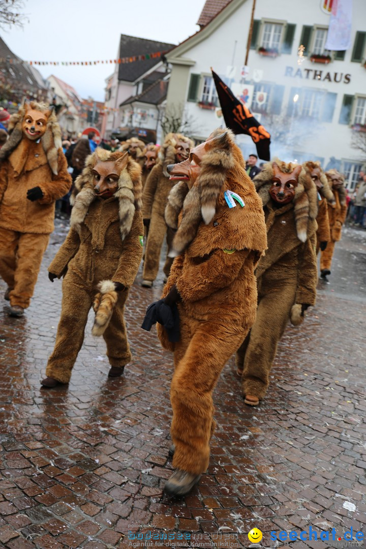 Fasnetsumzug - Fasching: Langenargen am Bodensee, 10.01.2016