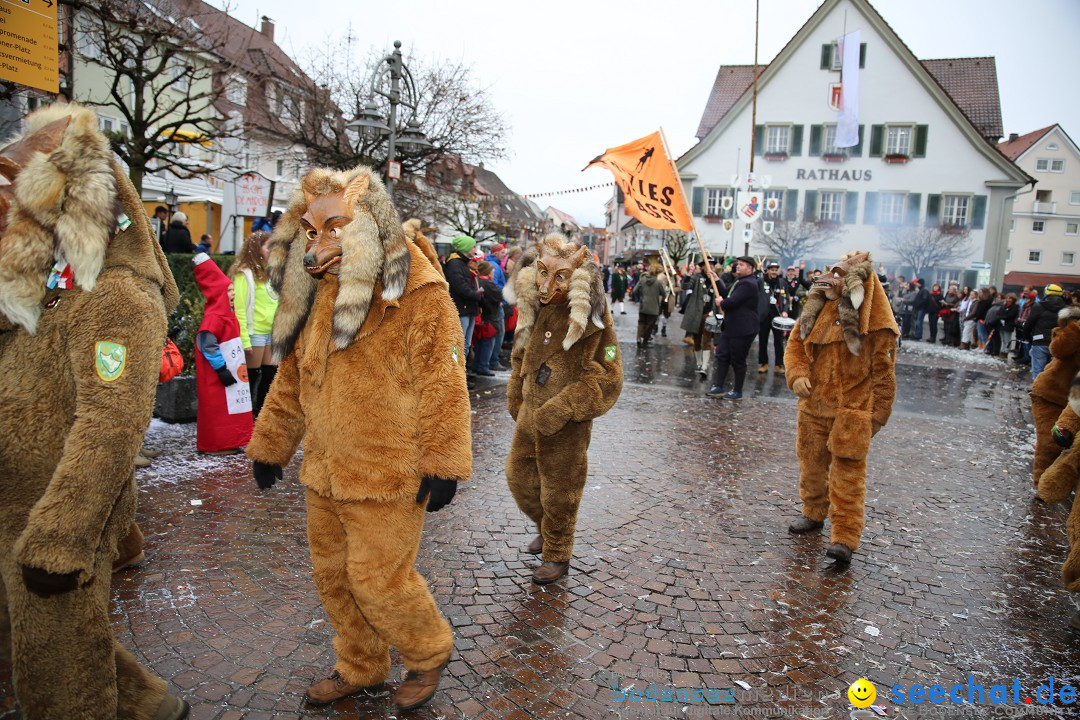 Fasnetsumzug - Fasching: Langenargen am Bodensee, 10.01.2016