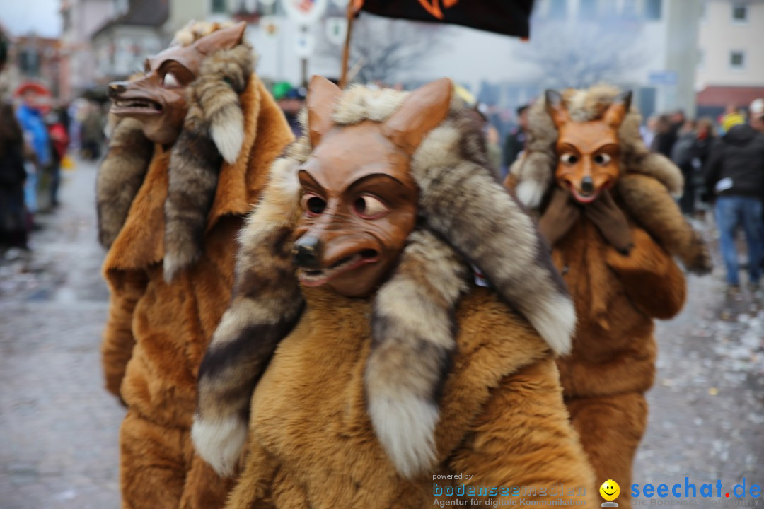 Fasnetsumzug - Fasching: Langenargen am Bodensee, 10.01.2016