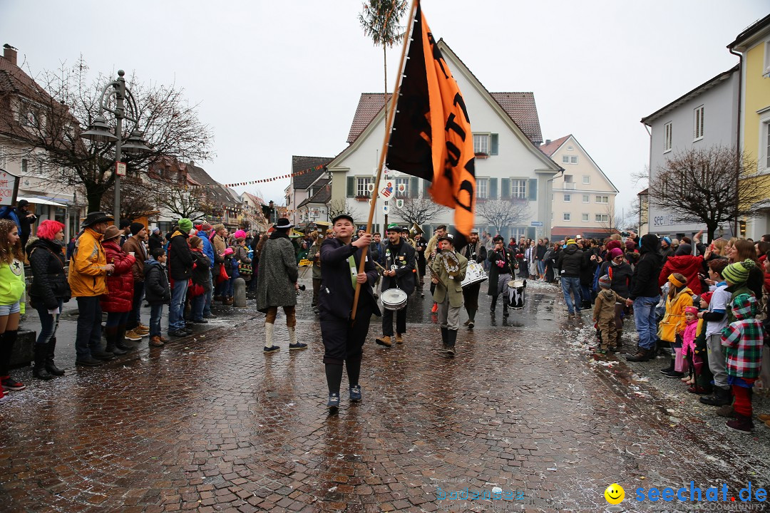 Fasnetsumzug - Fasching: Langenargen am Bodensee, 10.01.2016