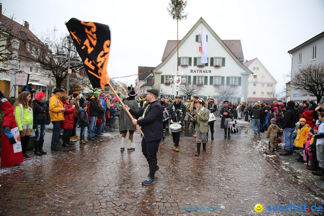 Fasnetsumzug - Fasching: Langenargen am Bodensee, 10.01.2016