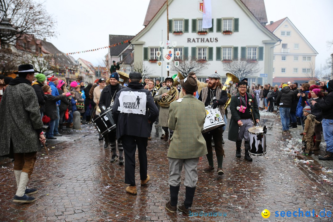 Fasnetsumzug - Fasching: Langenargen am Bodensee, 10.01.2016