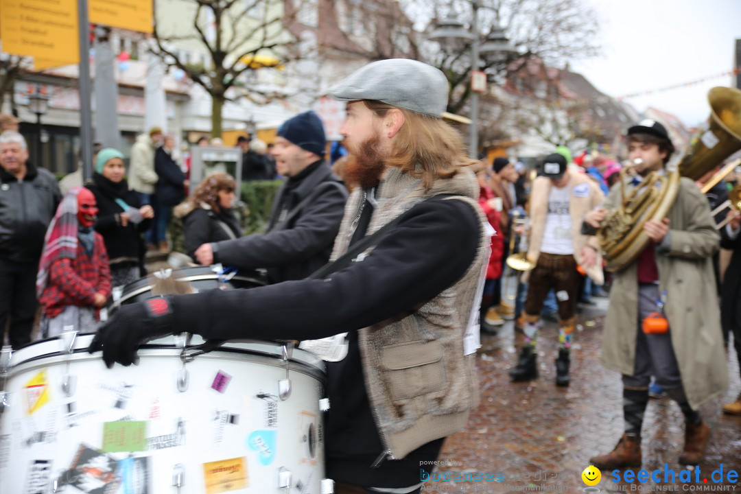 Fasnetsumzug - Fasching: Langenargen am Bodensee, 10.01.2016