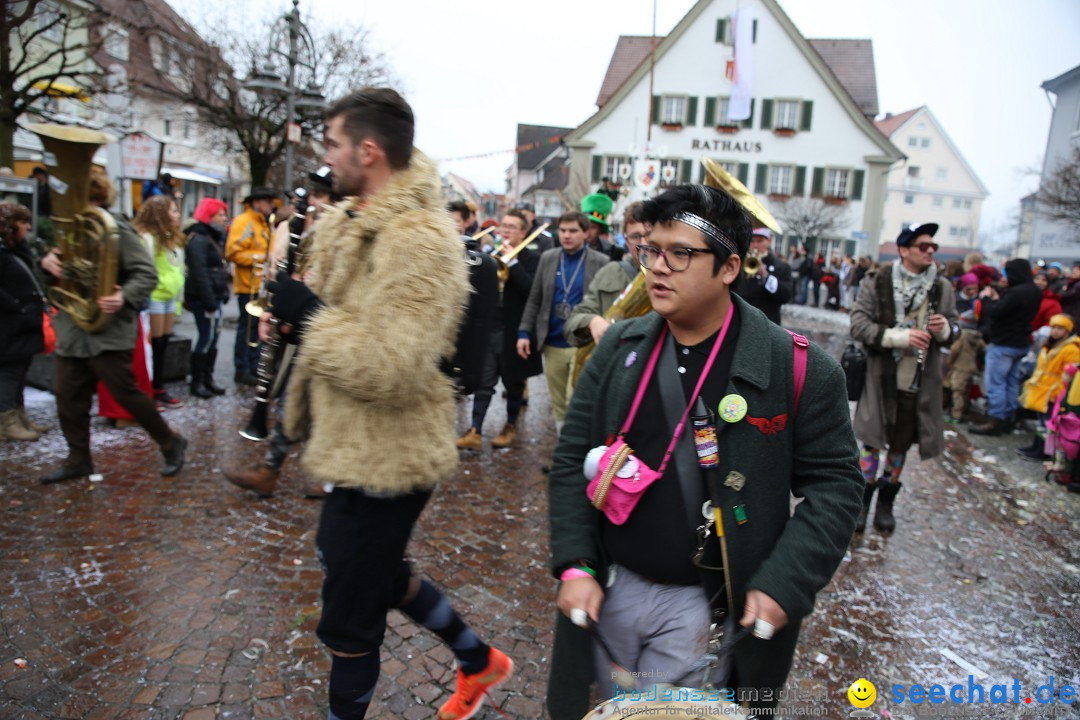 Fasnetsumzug - Fasching: Langenargen am Bodensee, 10.01.2016