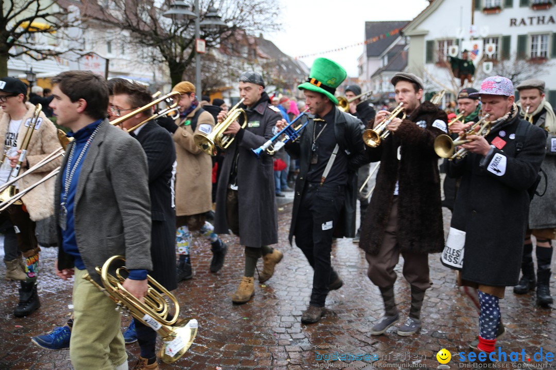 Fasnetsumzug - Fasching: Langenargen am Bodensee, 10.01.2016