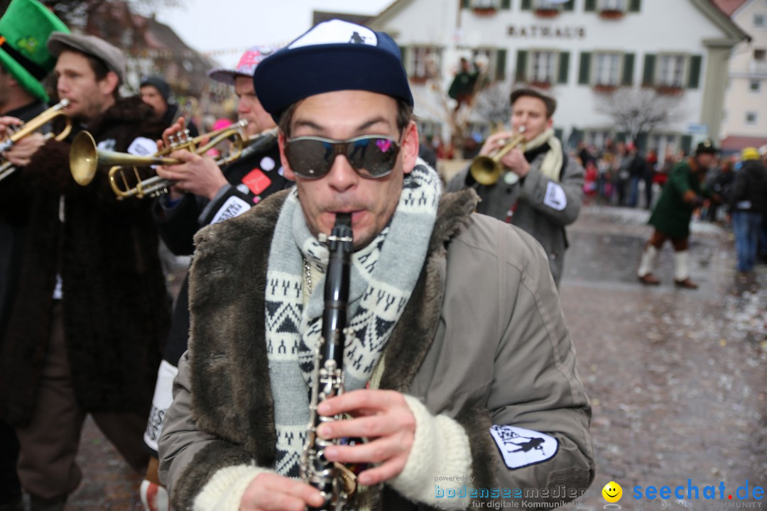 Fasnetsumzug - Fasching: Langenargen am Bodensee, 10.01.2016