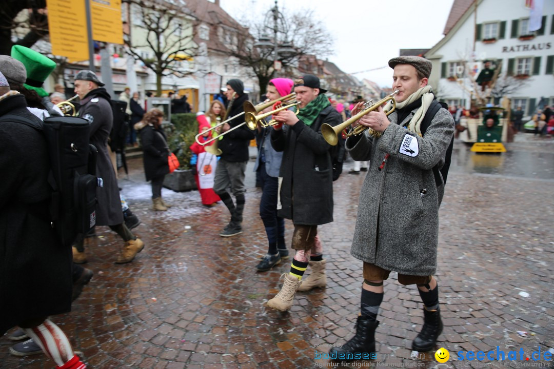 Fasnetsumzug - Fasching: Langenargen am Bodensee, 10.01.2016