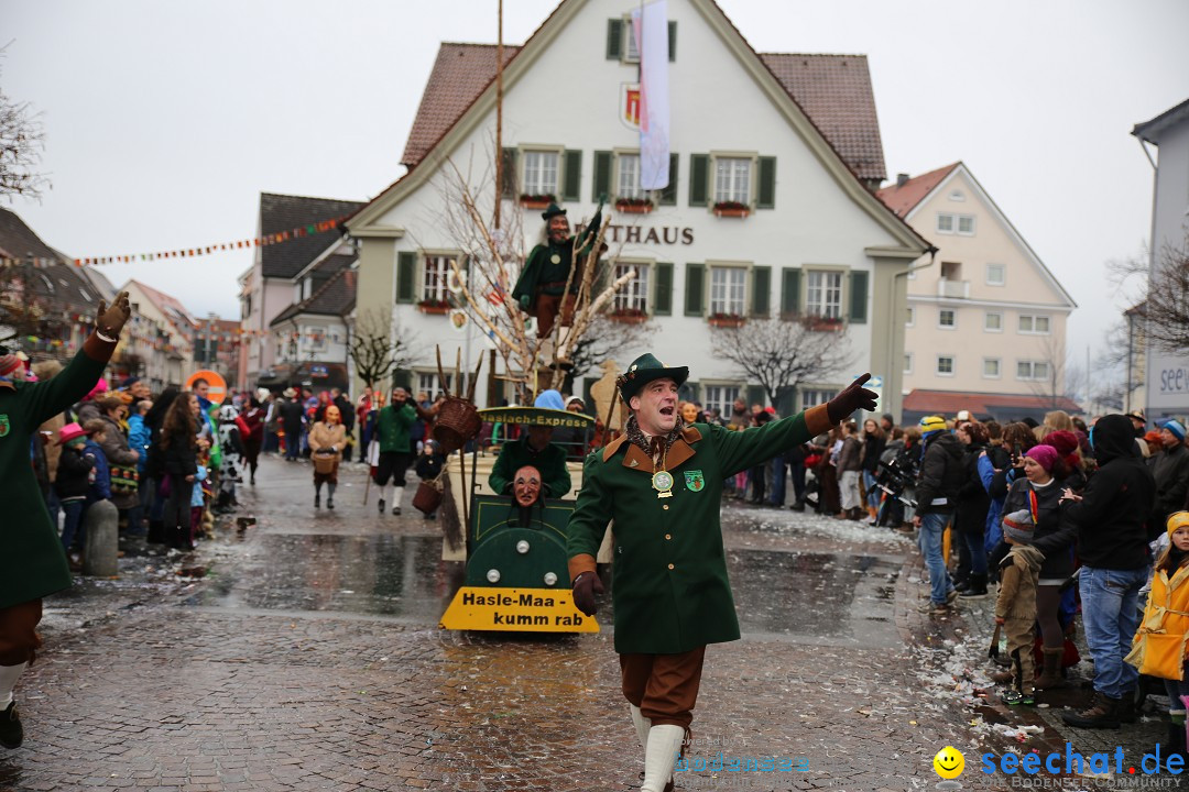 Fasnetsumzug - Fasching: Langenargen am Bodensee, 10.01.2016