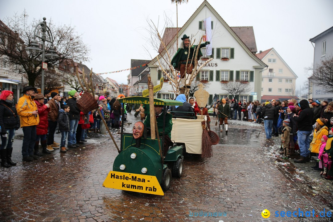 Fasnetsumzug - Fasching: Langenargen am Bodensee, 10.01.2016