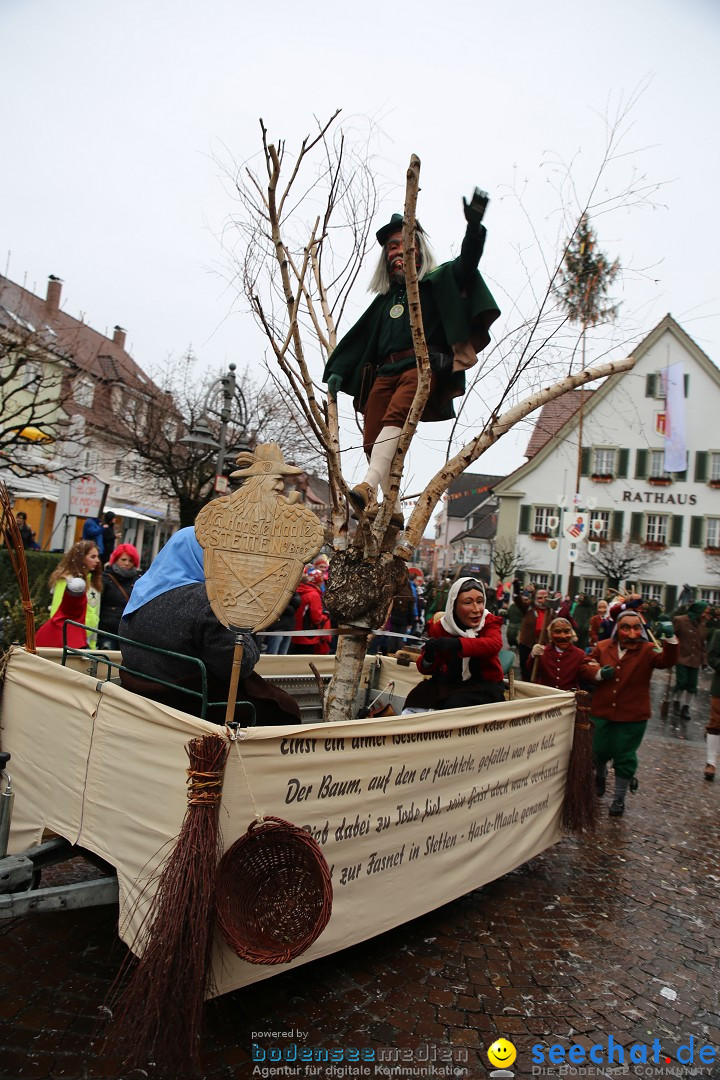 Fasnetsumzug - Fasching: Langenargen am Bodensee, 10.01.2016