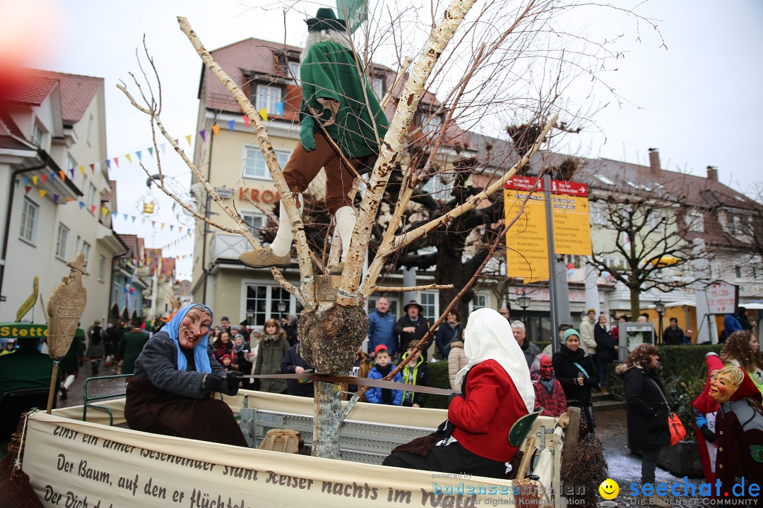 Fasnetsumzug - Fasching: Langenargen am Bodensee, 10.01.2016