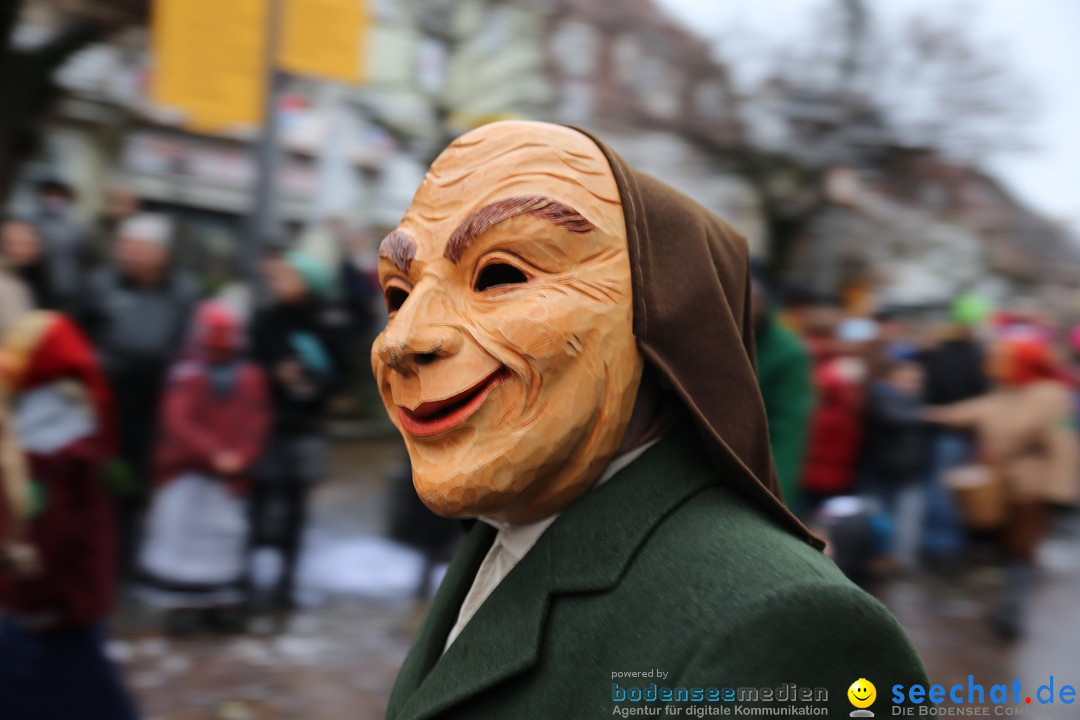 Fasnetsumzug - Fasching: Langenargen am Bodensee, 10.01.2016