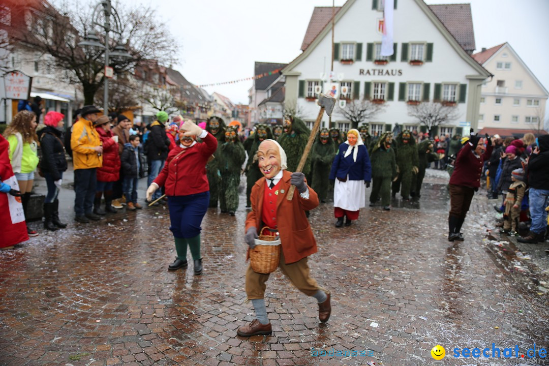 Fasnetsumzug - Fasching: Langenargen am Bodensee, 10.01.2016