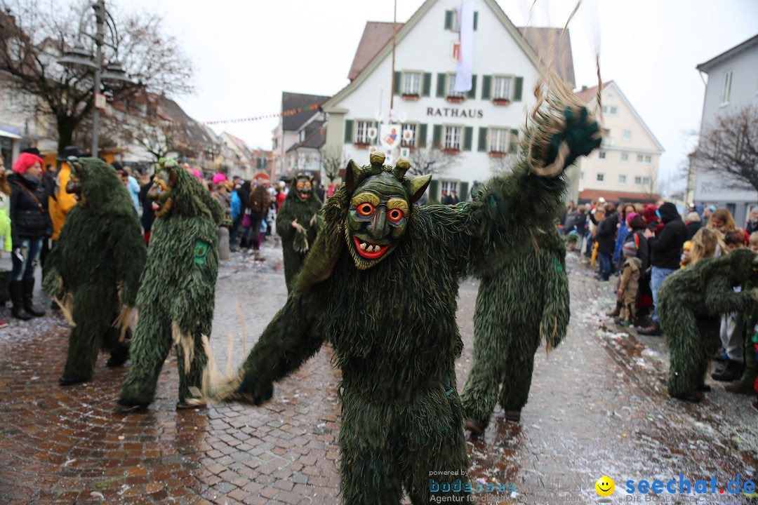 Fasnetsumzug - Fasching: Langenargen am Bodensee, 10.01.2016