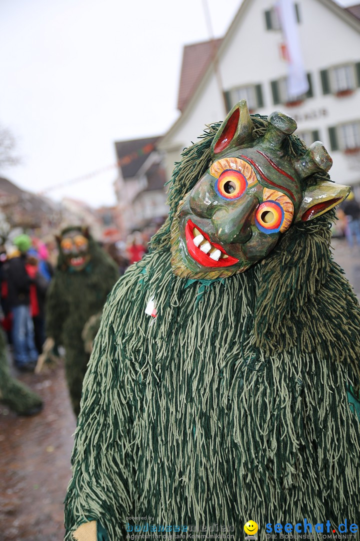 Fasnetsumzug - Fasching: Langenargen am Bodensee, 10.01.2016