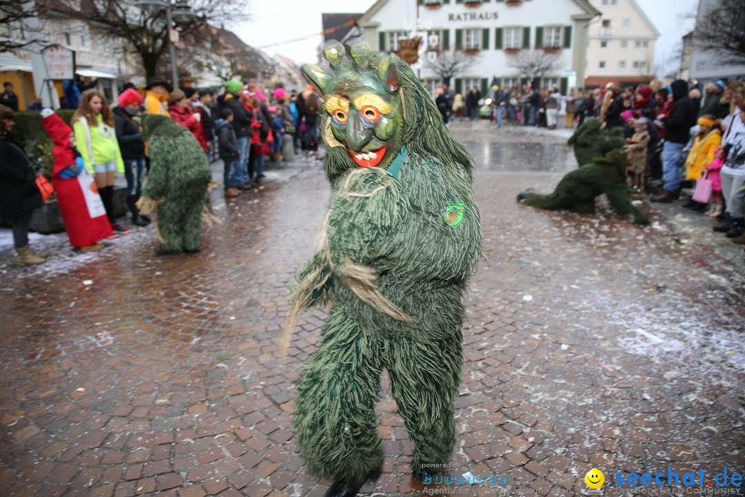 Fasnetsumzug - Fasching: Langenargen am Bodensee, 10.01.2016